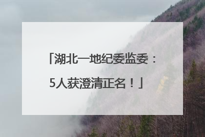 湖北一地纪委监委：5人获澄清正名！