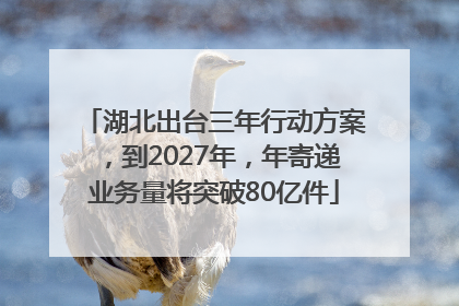 湖北出台三年行动方案，到2027年，年寄递业务量将突破80亿件