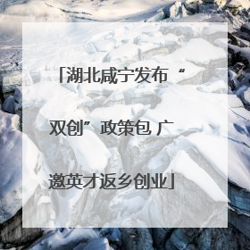 湖北咸宁发布“双创”政策包 广邀英才返乡创业