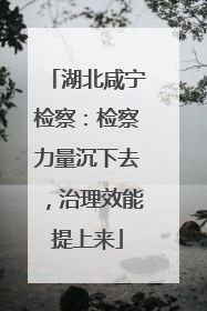 湖北咸宁检察：检察力量沉下去，治理效能提上来