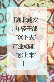 湖北咸安：年轻干部“沉下去” 产业动能“涨上来”