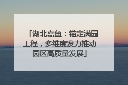 湖北嘉鱼：锚定满园工程，多维度发力推动园区高质量发展