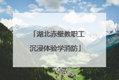 湖北赤壁教职工沉浸体验学消防