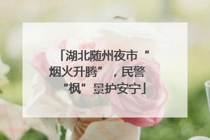 湖北随州夜市“烟火升腾”，民警“枫”景护安宁