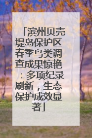 滨州贝壳堤岛保护区春季鸟类调查成果惊艳：多项纪录刷新，生态保护成效显著