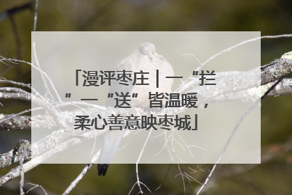 漫评枣庄｜一“拦”一“送”皆温暖，柔心善意映枣城