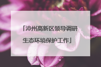 漳州高新区领导调研生态环境保护工作