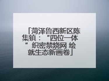 菏泽鲁西新区陈集镇：“四位一体”织密禁烧网 绘就生态新画卷