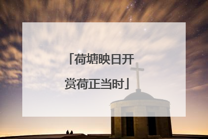 荷塘映日开 赏荷正当时