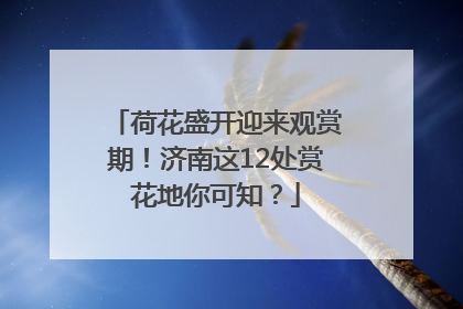 荷花盛开迎来观赏期！济南这12处赏花地你可知？