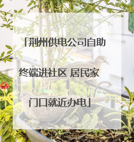 荆州供电公司自助终端进社区 居民家门口就近办电