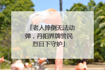 老人摔倒无法动弹，丹阳界牌警民烈日下守护