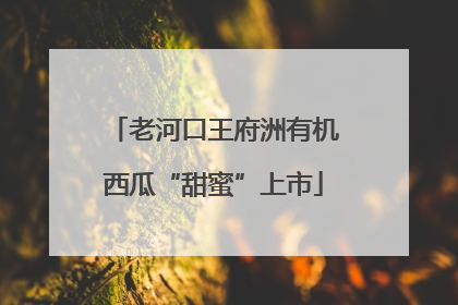老河口王府洲有机西瓜“甜蜜”上市
