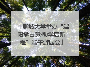 聊城大学举办“端阳承古意·助学启新程”端午游园会