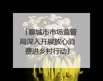 聊城市市场监管局深入开展放心消费进乡村行动