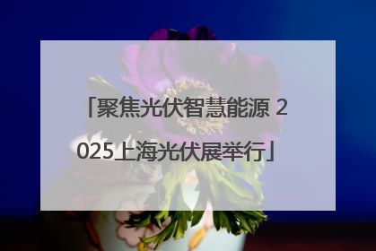 聚焦光伏智慧能源 2025上海光伏展举行