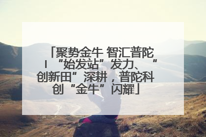 聚势金牛 智汇普陀〡“始发站”发力、“创新田”深耕，普陀科创“金牛”闪耀