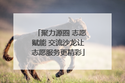 聚力源圈 志愿赋能 交流沙龙让志愿服务更精彩