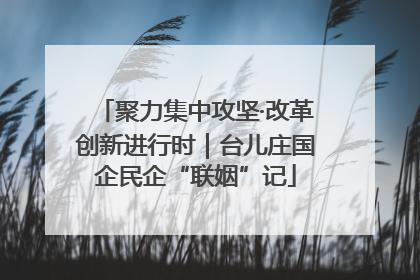 聚力集中攻坚·改革创新进行时｜台儿庄国企民企“联姻”记