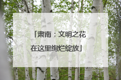肃南：文明之花在这里绚烂绽放
