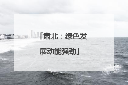 肃北：绿色发展动能强劲