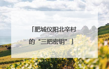 肥城仪阳北辛村的“三把密钥”