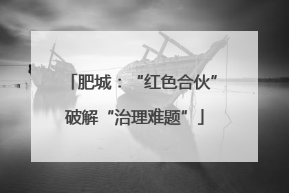 肥城：“红色合伙”破解“治理难题”