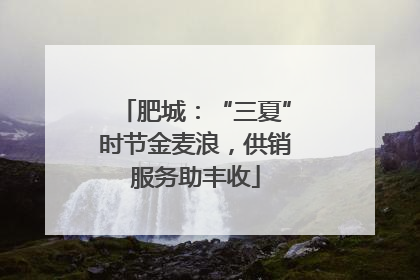 肥城：“三夏”时节金麦浪，供销服务助丰收