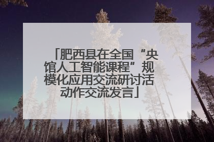肥西县在全国“央馆人工智能课程”规模化应用交流研讨活动作交流发言