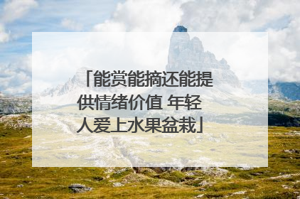 能赏能摘还能提供情绪价值 年轻人爱上水果盆栽