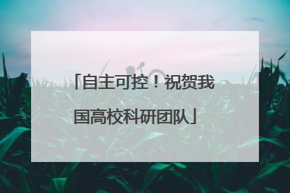 自主可控！祝贺我国高校科研团队