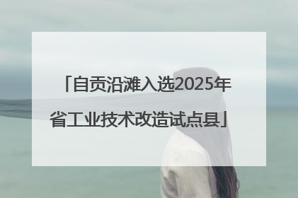 自贡沿滩入选2025年省工业技术改造试点县