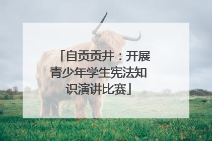 自贡贡井：开展青少年学生宪法知识演讲比赛