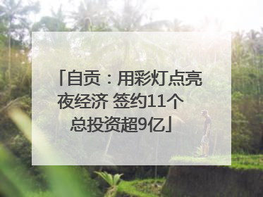 自贡：用彩灯点亮夜经济 签约11个总投资超9亿