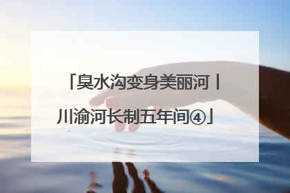 臭水沟变身美丽河丨川渝河长制五年间④