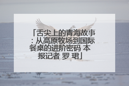 舌尖上的青海故事：从高原牧场到国际餐桌的进阶密码 本报记者 罗 珺