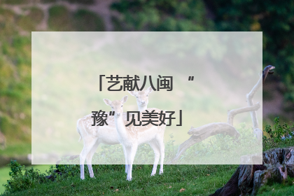 艺献八闽 “豫”见美好