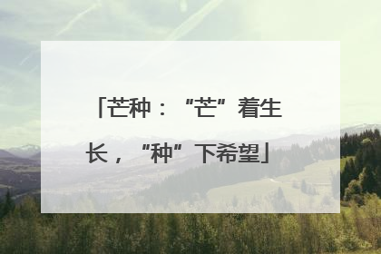 芒种：“芒”着生长，“种”下希望