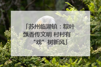 苏州临湖镇：粽叶飘香传文明 村村有“戏”树新风