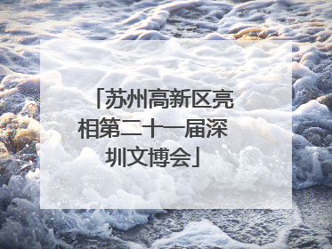 苏州高新区亮相第二十一届深圳文博会