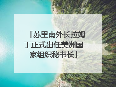苏里南外长拉姆丁正式出任美洲国家组织秘书长