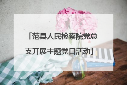 范县人民检察院党总支开展主题党日活动