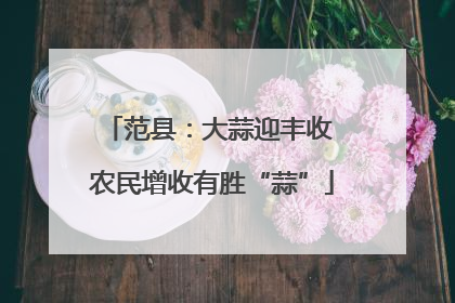 范县：大蒜迎丰收 农民增收有胜“蒜”