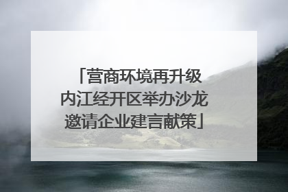 营商环境再升级 内江经开区举办沙龙邀请企业建言献策