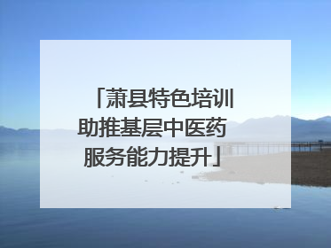 萧县特色培训助推基层中医药服务能力提升