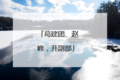 葛建团、赵峰，升副部