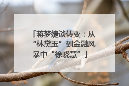 蒋梦婕谈转变：从“林黛玉”到金融风暴中“徐晓慧”