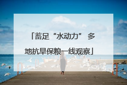 蓄足“水动力” 多地抗旱保粮一线观察
