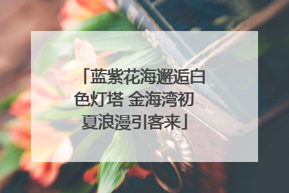蓝紫花海邂逅白色灯塔 金海湾初夏浪漫引客来