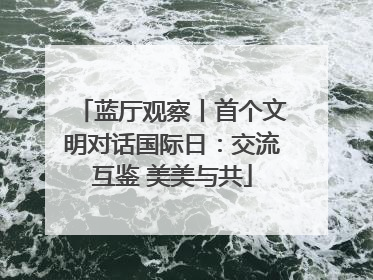蓝厅观察丨首个文明对话国际日：交流互鉴 美美与共